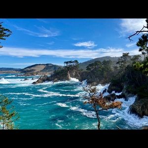 Meet your Posher, Salvatore